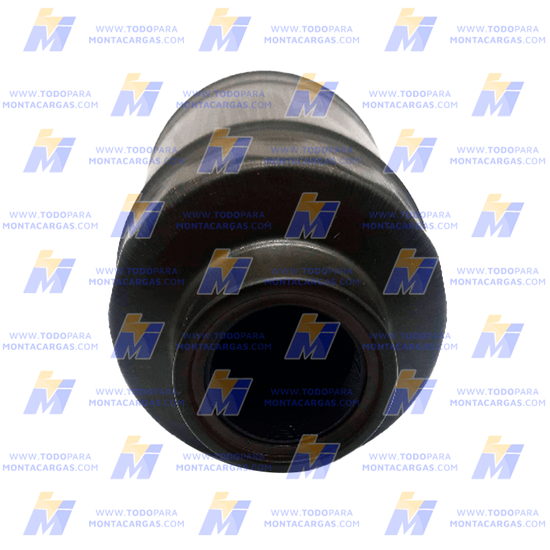 Filtro de Combustible
