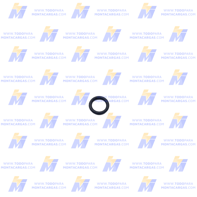 O-Ring