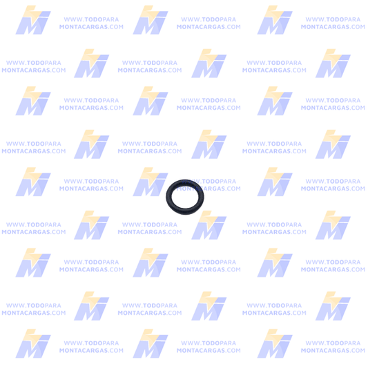 O-Ring
