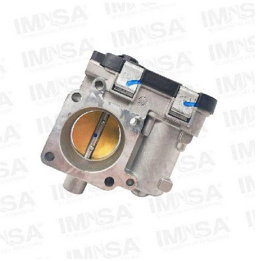 Cuerpo de Aceleración Electrónico GM 2.4 L / GM 4.3L